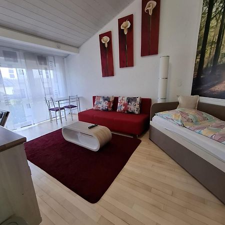 Exclusive Apartments Bietigheim-Bissingen Buitenkant foto