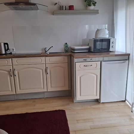 Exclusive Apartments Bietigheim-Bissingen Buitenkant foto